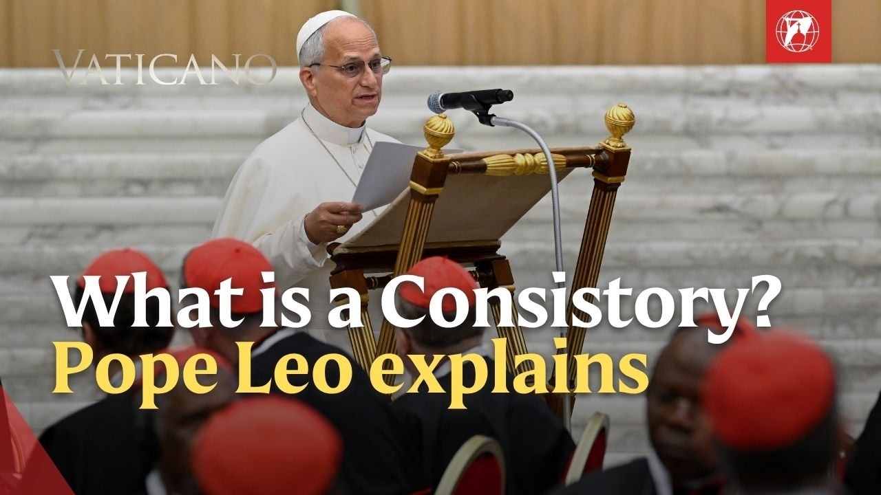 Why Pope Leo XIV Summoned 178 Cardinals to Rome: Consistory Explained | EWTN Vaticano
