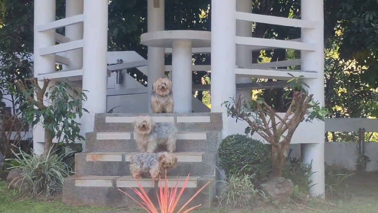 HOUSE TOUR AROUND THE GARDEN 