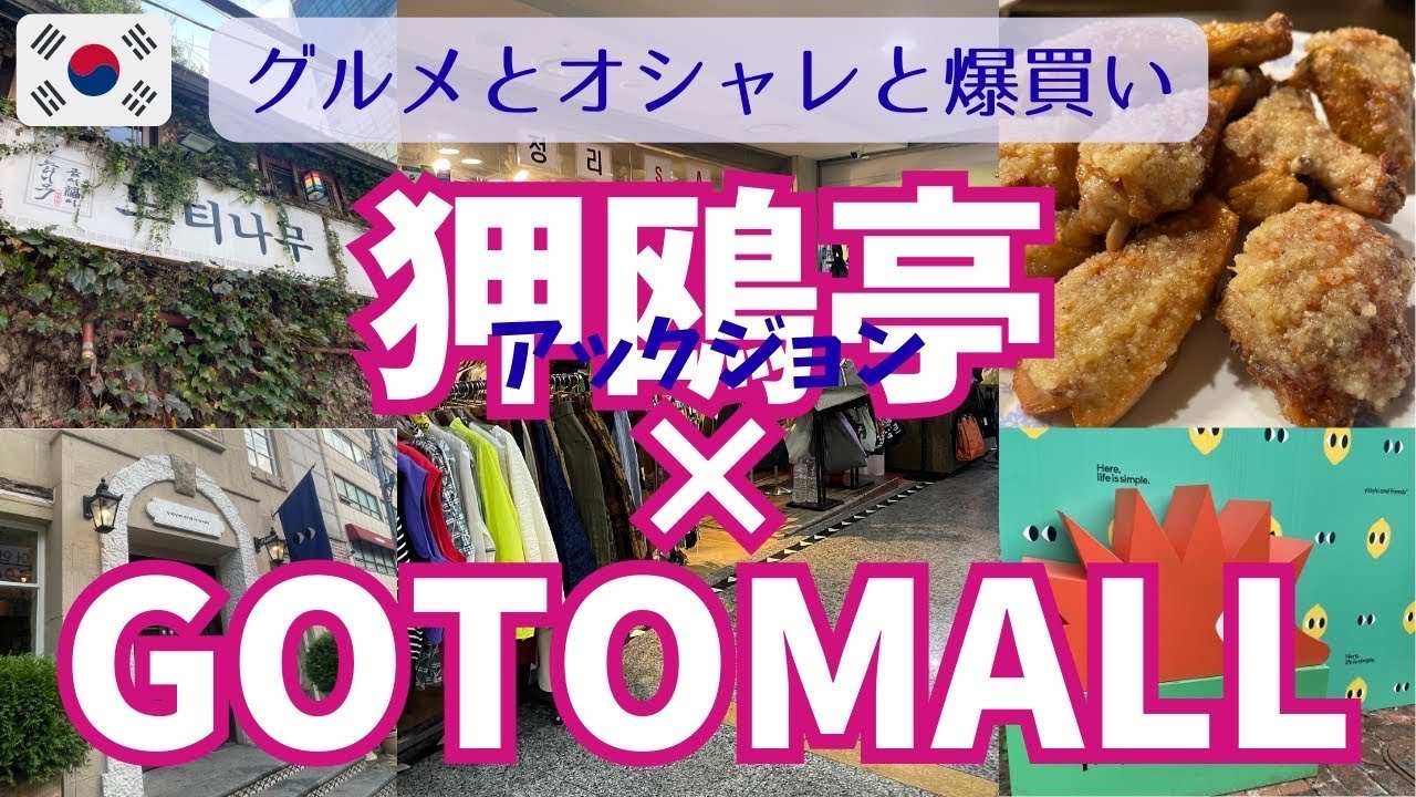 【ベトナム&韓国旅Vlog⑧】狎鴎亭(アックジョン)で雰囲気、GOTOMALLで爆買いパターン/ソルロンタン/にんにくチキンも爆食い