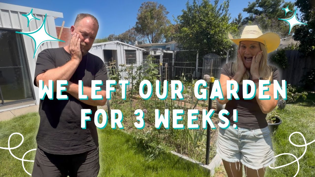 We Left Our Garden for 3 Weeks… Here’s What Happened 🌱