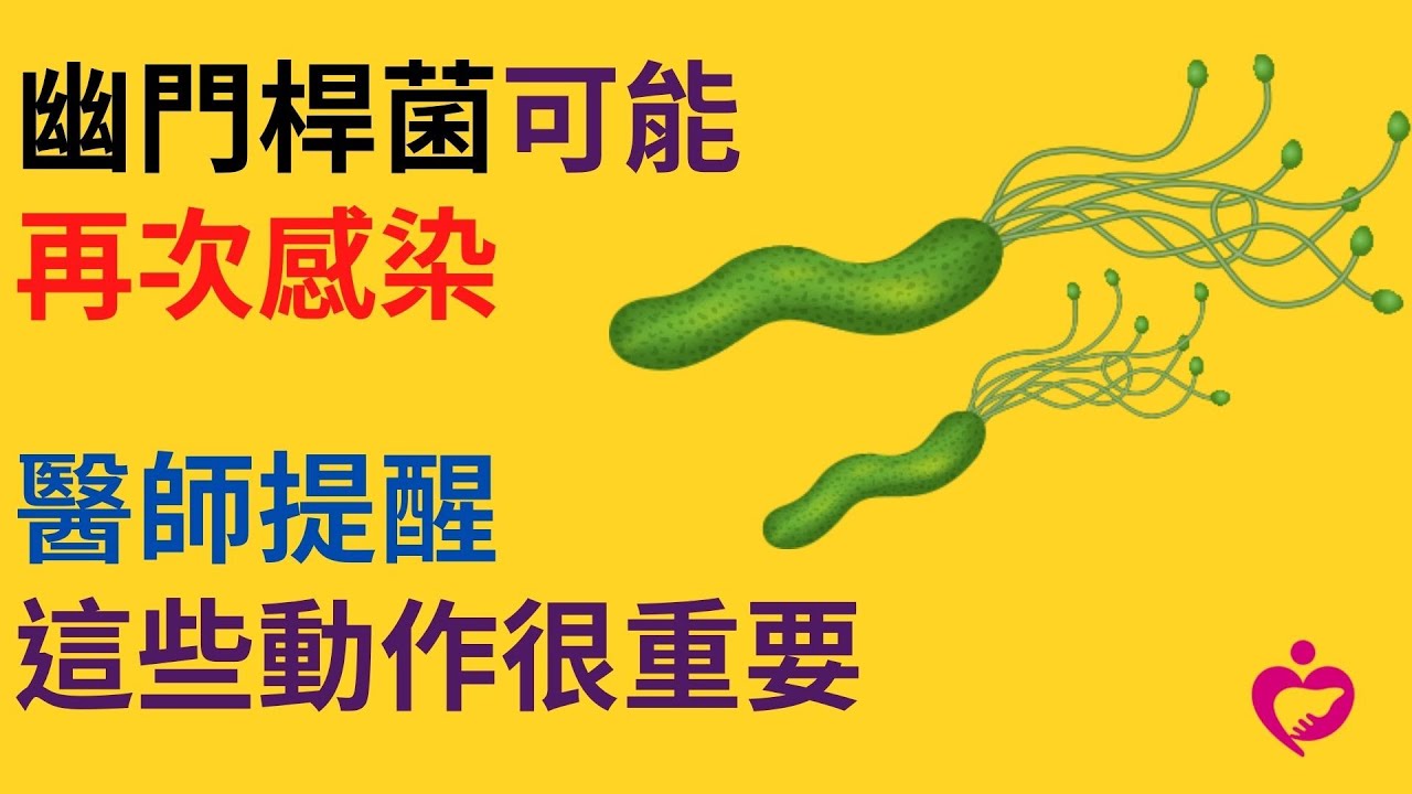 幽門桿菌可能再次感染 醫師提醒這些動作很重要｜好心肝˙好健康