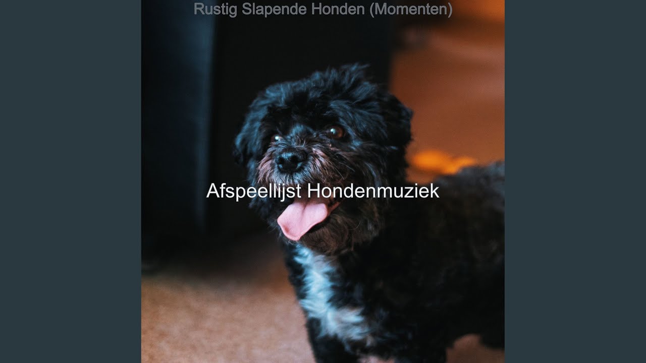 Geluiden - Gebeurtenis