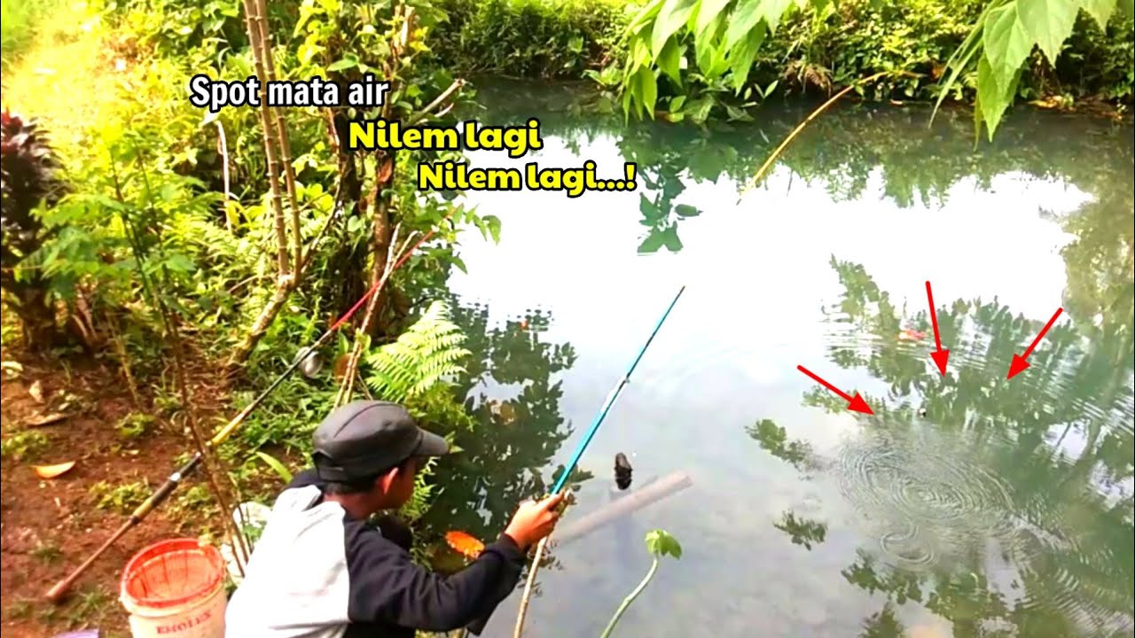 Fishing at the spring spot, Nilem is fishing again...!
