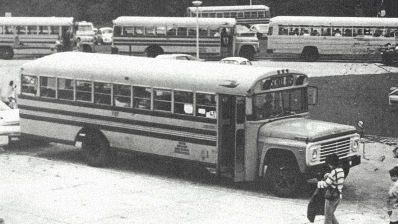 Миф о Ford B700: одно и то же название, но совершенно разные автобусы.