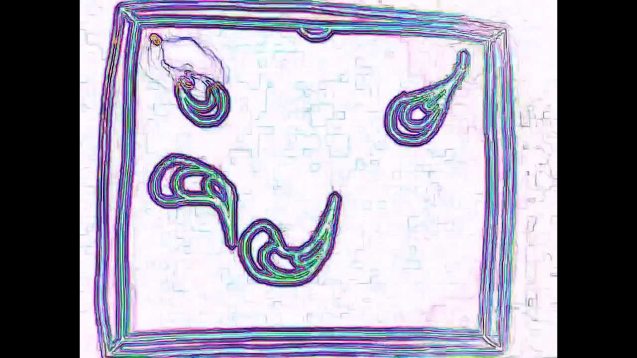 Dry erase art 2