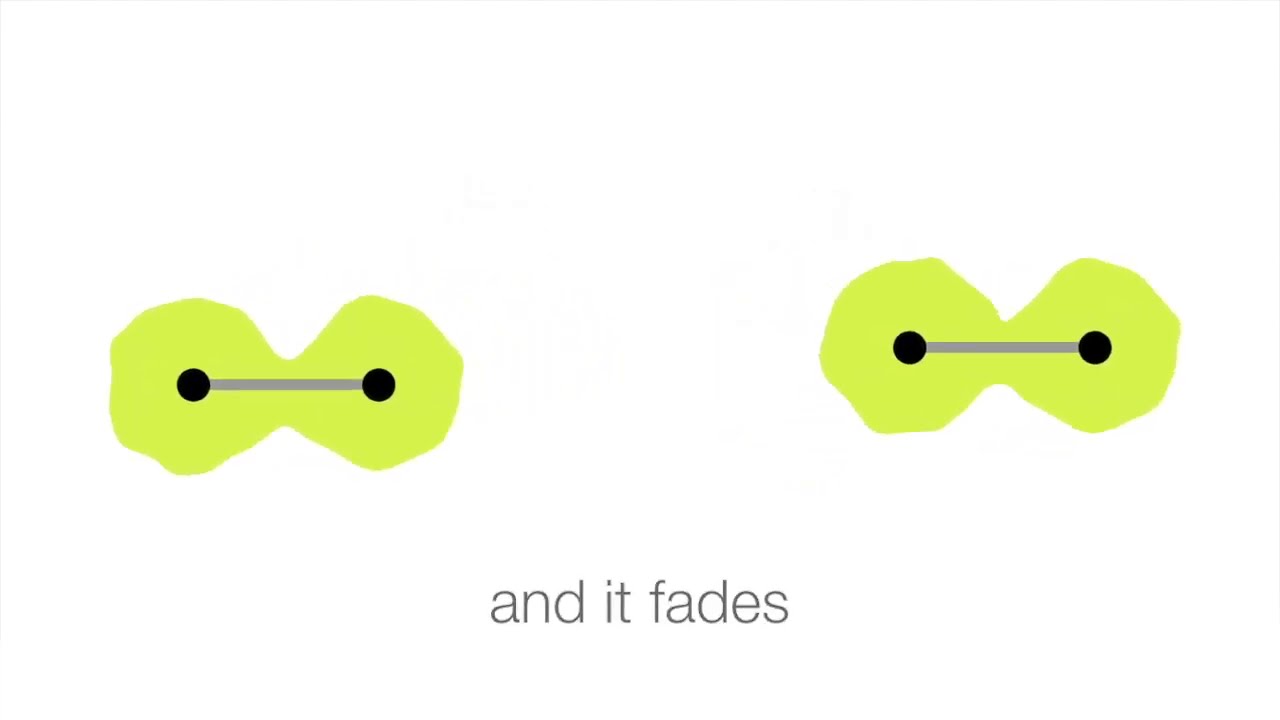 Intermolecular forces animation and explanation