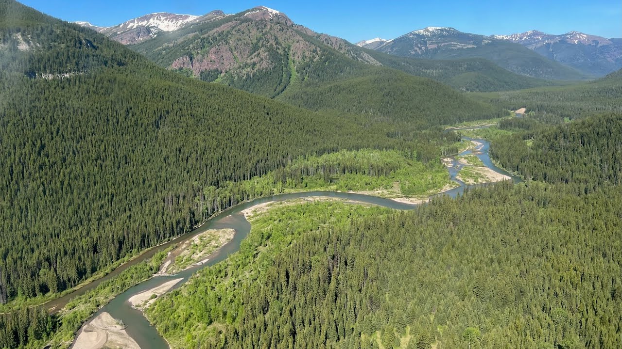 Whitewater Rafting the Upper Middle Fork of the Flathead River June 2022