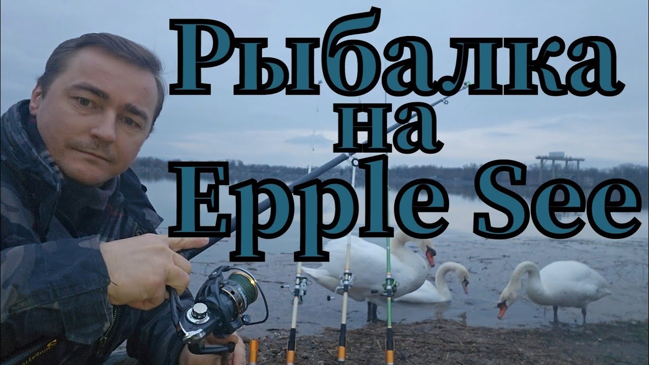 Активная рыбалка🎣 на Epple See клюнул ЯЗЬ и плотва #рыбалка #angeln #fishing #язь #плотва #see #shot