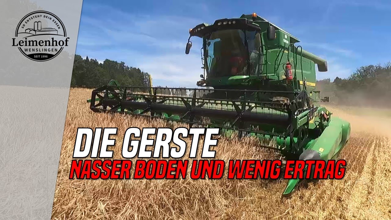 Schwere Entscheidung - So entsteht dein Essen #246