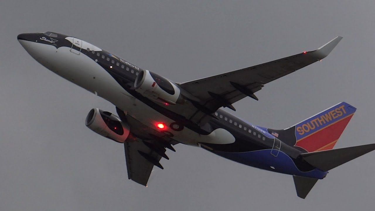 Southwest | Shamu One Livery | Boeing 737-700 | N713SW | Nassau,Bahamas