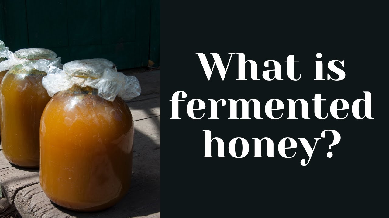 What Is Fermented Honey? | Busy Beekeeping