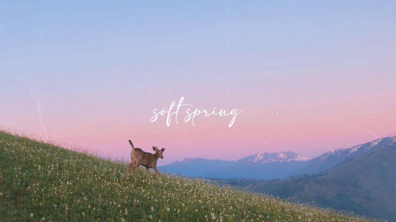 𝒂 𝒑𝒍𝒂𝒚𝒍𝒊𝒔𝒕 𝒇𝒐𝒓 𝒆𝒂𝒓𝒍𝒚 𝒔𝒑𝒓𝒊𝒏𝒈 𝒎𝒐𝒓𝒏𝒊𝒏𝒈𝒔 🌤️