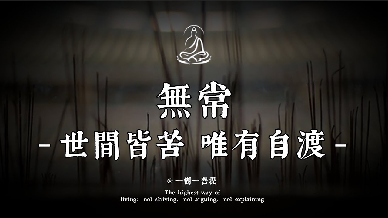 佛說：世間皆苦，唯有自渡。讀懂了這8個字，便不再對往事回頭|一樹一菩提 #覺醒 #禪悟人生 #人生感悟 #情感 #佛法