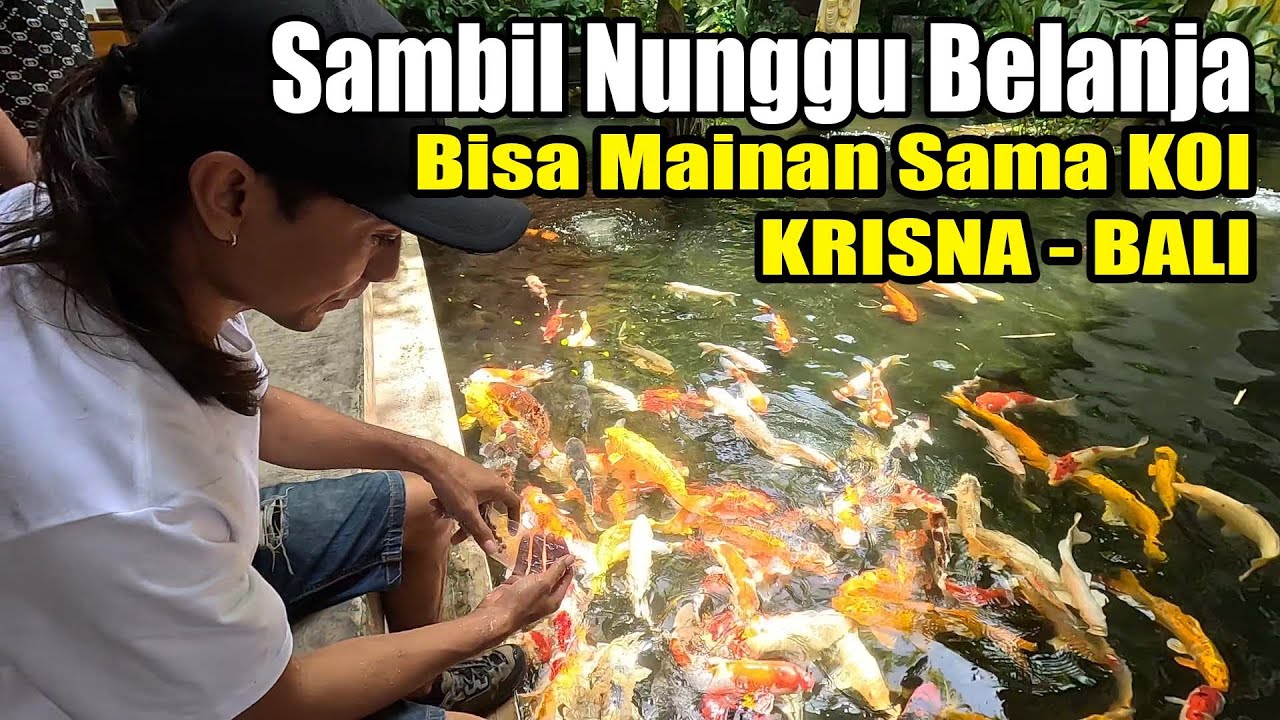 Sambil Belanja Bisa Mainan Bareng Ikan Koi Di KRISNA 0leh-oleh Bali