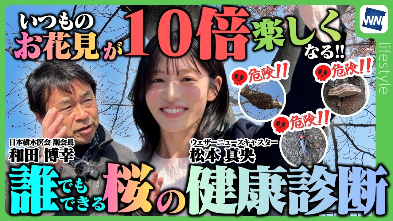 【プロに学ぶ】いつものお花見が10倍楽しくなる!!誰でもできる桜の健康診断（桜企画2026）