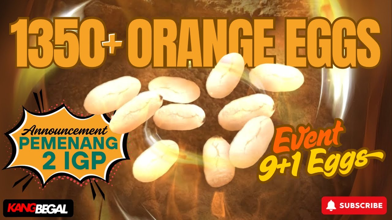 1350+ ORANGE EGGS HATCH | PENGUMUMAN 2 UNDIAN IGP | The Ants Underground Kingdom | KangBegal