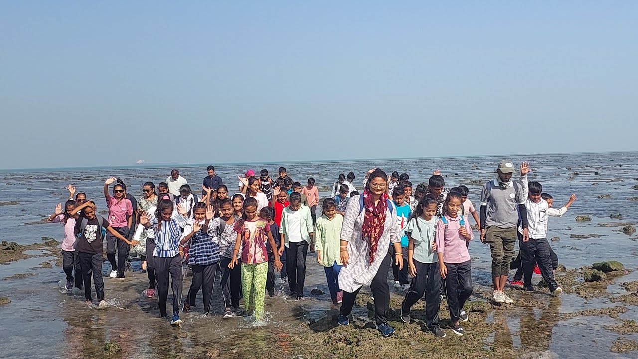 Narara Island - Marine National Park - Shree Mota Thavariya Vadi Primary School - Jamnagar