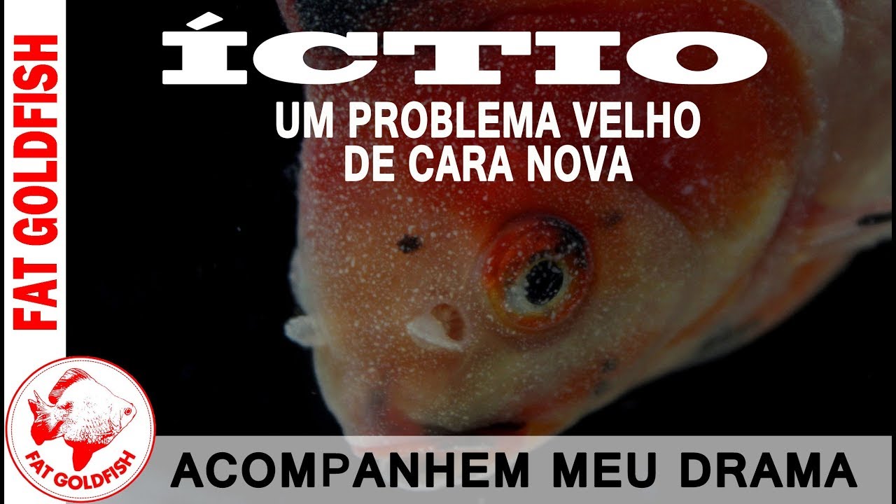 ÍCTIO Um problema velho de cara nova