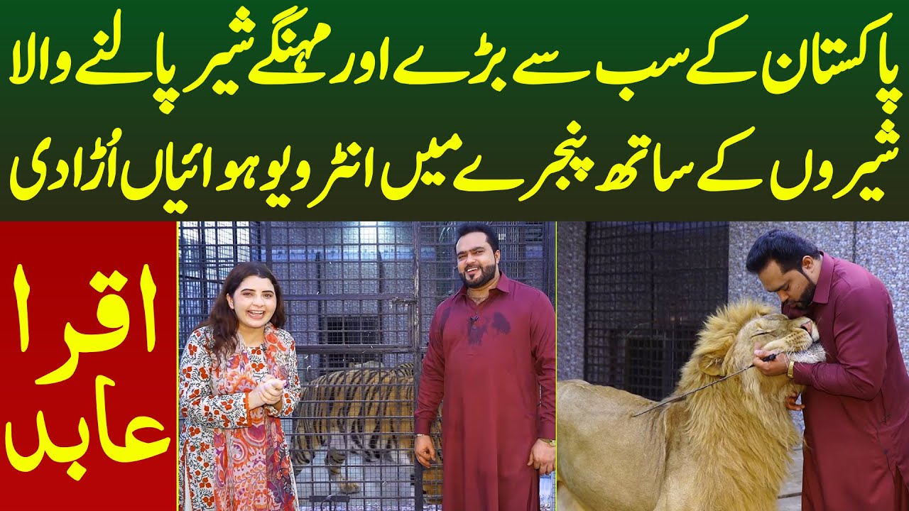 Pakistan Ke Sab Se Bare Aur Mehnge Shair Palne Wale Mian Saqib | Bacho Ki Tarha Rakhte | Iqra Abid