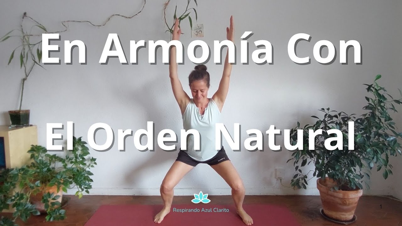 Fortalece Tu Sistema Inmunológico y Activa Tu Metabolismo | Chi Kung | Tai Chi | Kung fu  #salud