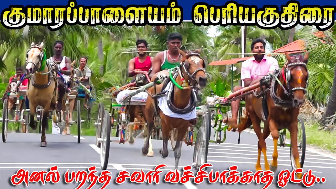 1குமாரப்பாளையாம் பெரியகுதிரை 20,000 ஆயிரம்- பந்தயம் 22.09.2024_krish_studio