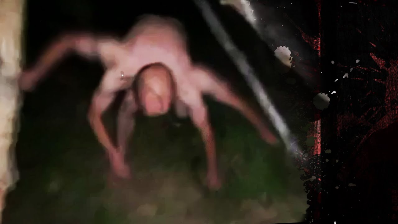 Co to do cholery jest? | TOP Strasznych Paranormalnych Nagrań 131