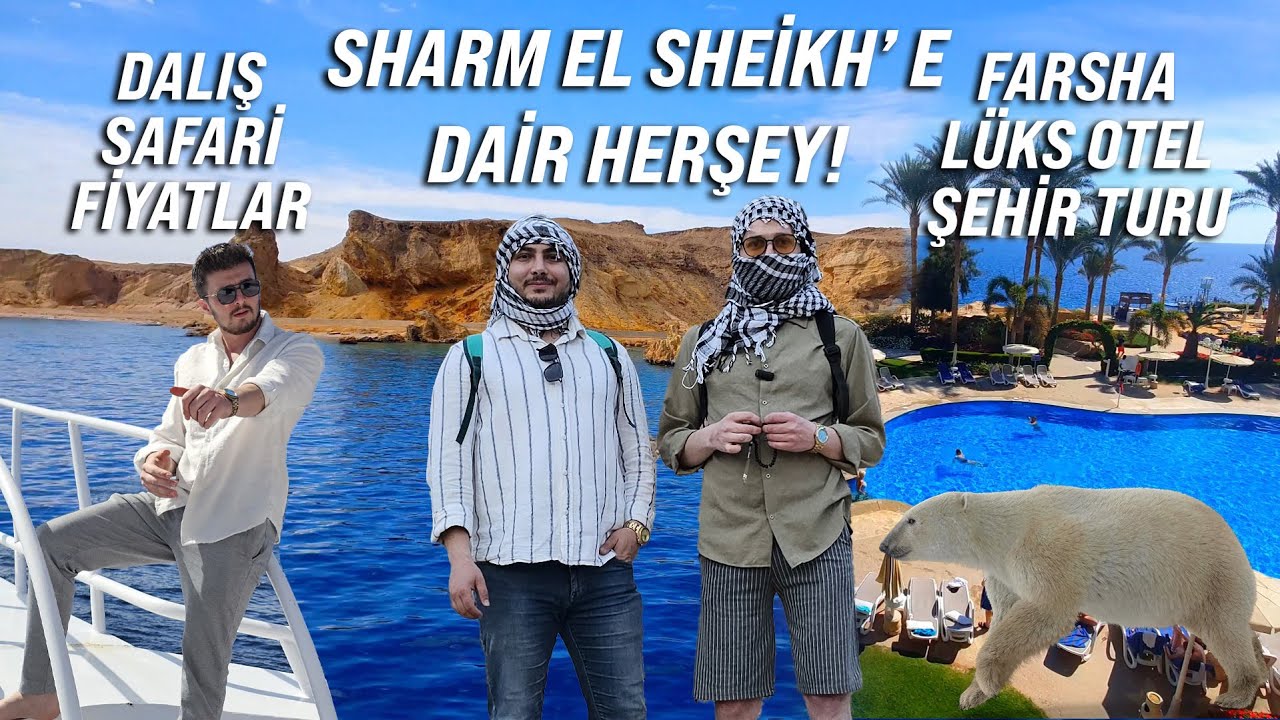 Sharm El Sheikh  Mısır tatili - Fiyatlar, dalış, safari, kafeler, part 2 #stelladimare #egypt #mısır