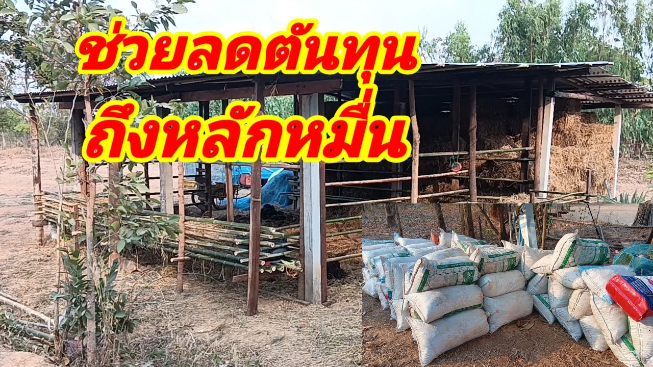 ช่วยลดต้นทุนถึงหลักหมื่นอีกอาชีพของชาวนาไทยทุกครัวเรียนที่ทำนา