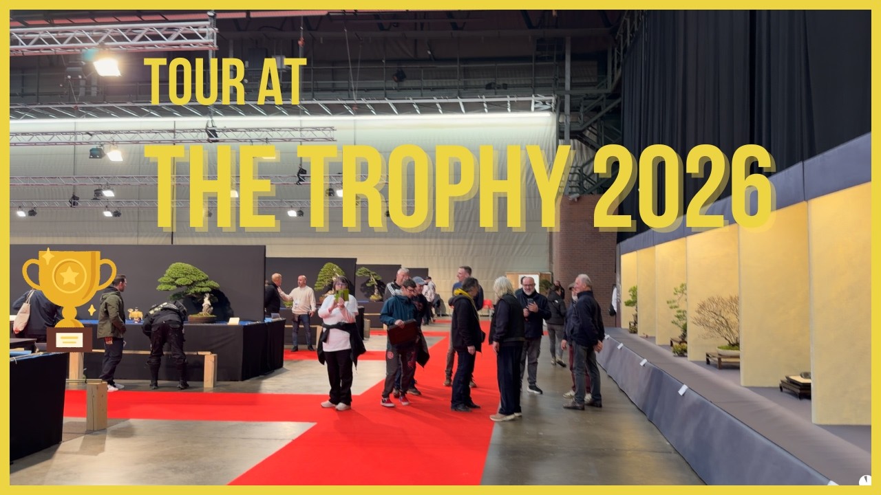 The Trophy 2026 Bonsai Exhibition