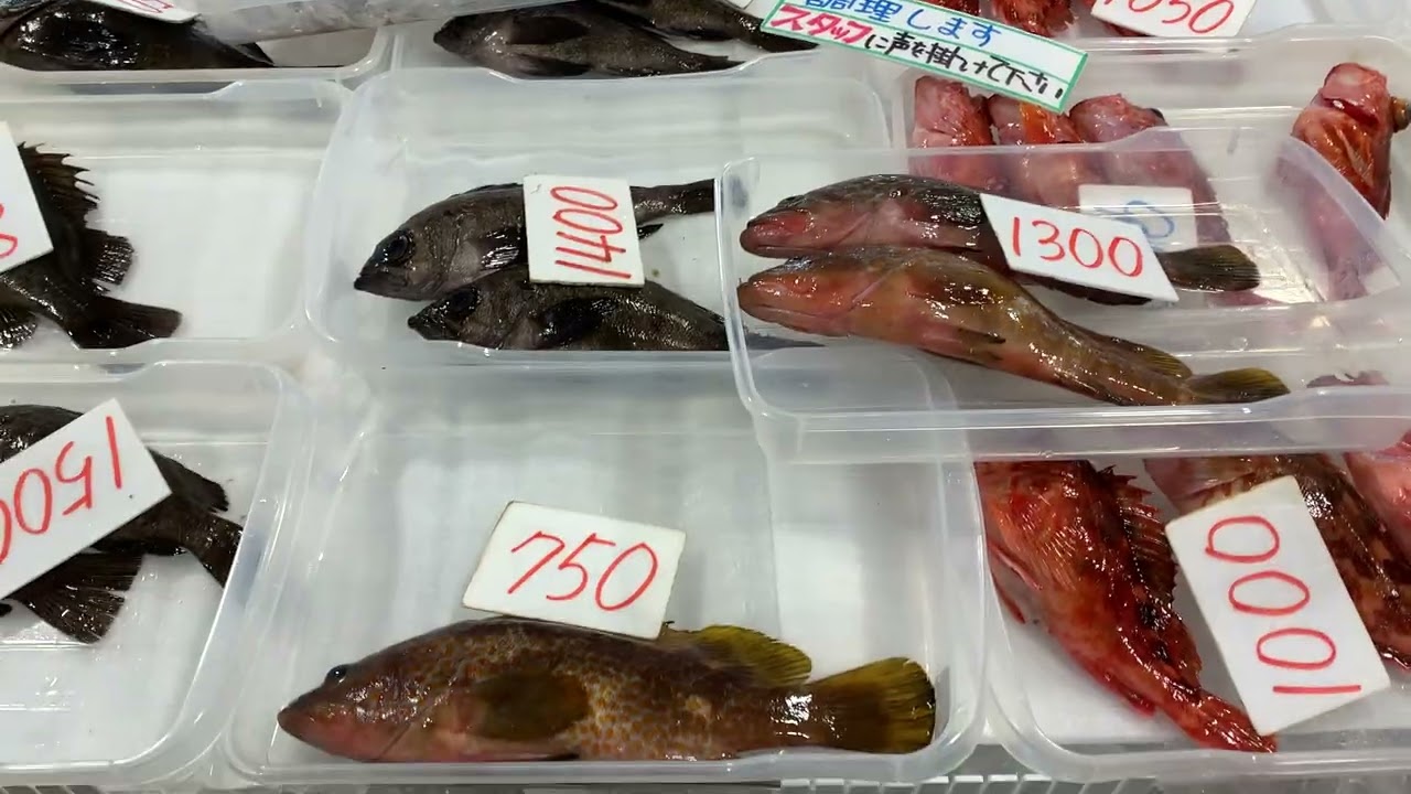 道の駅笠岡ベイファーム鮮魚コーナー2／１４