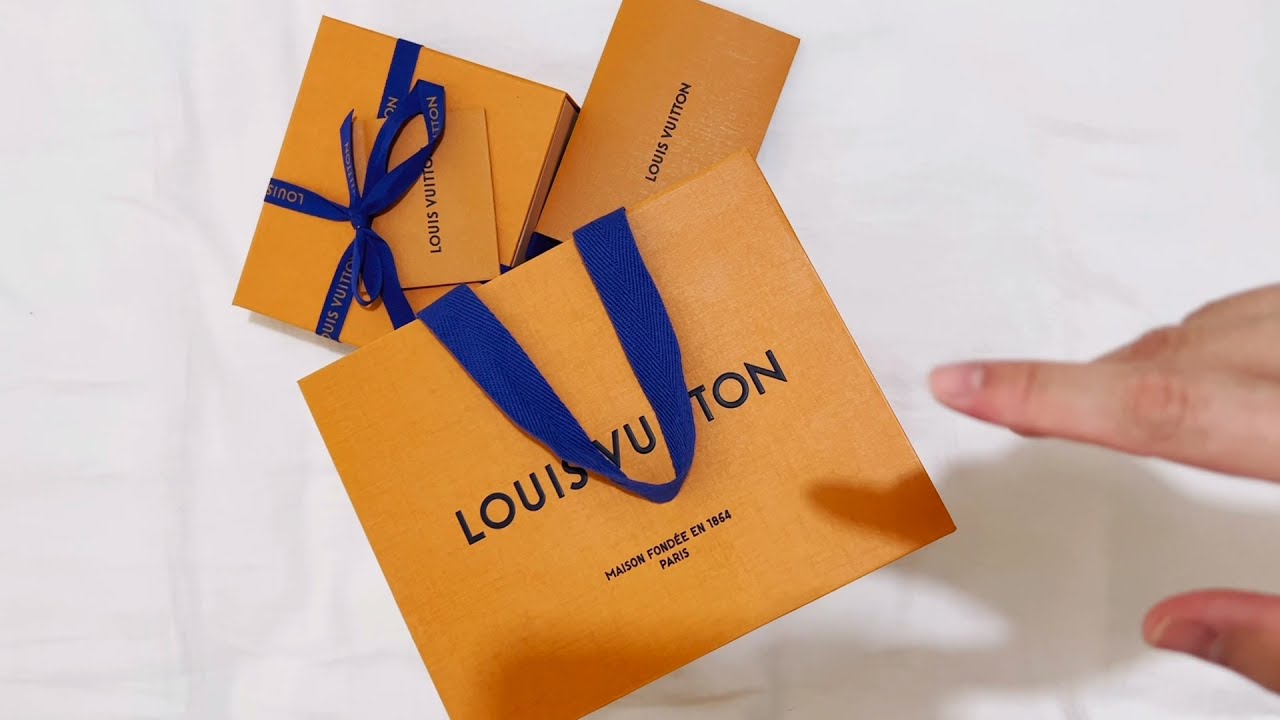 Louis Vuitton 2022 Micro Pochette Accessories Unboxing