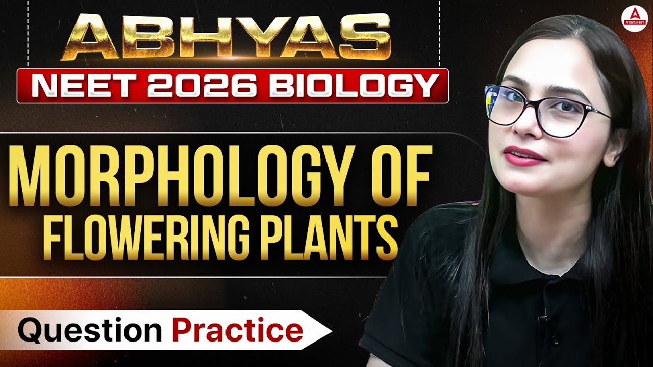 NEET 2026 Biology | Morphology of Flowering Plants | ABHYAS YT Series Question Practice | Gargi Mam