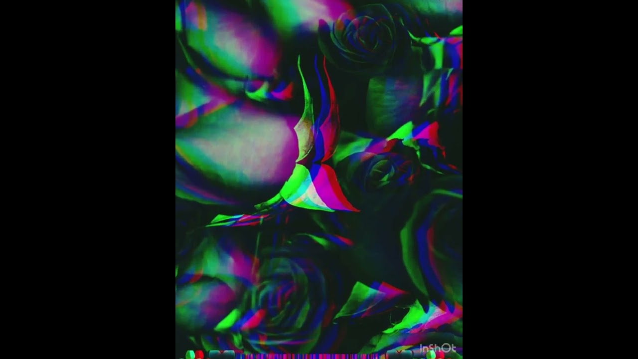 ⚜️🖤Romane gila pika bahtalo⚜️🖤
