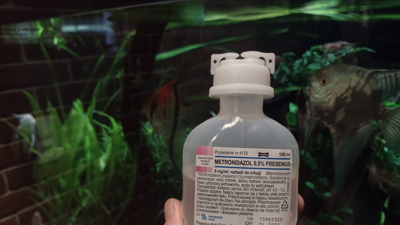 Leczenie skalar&oacute;w - Metronidazol do infuzji