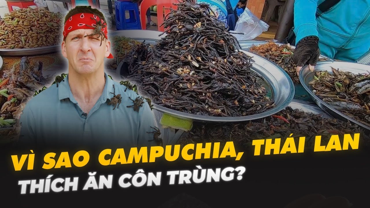 VÌ SAO CAMPUCHIA, THÁI LAN THÍCH ĂN CÔN TRÙNG?