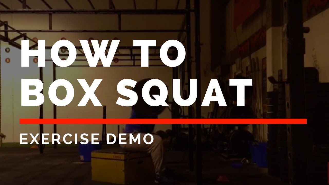 Rugby Renegade | Box Squat - Exercise Demo