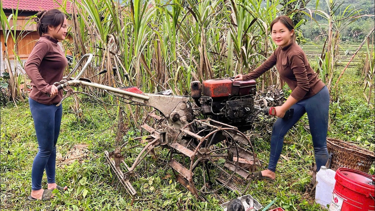The genius girl repaired the old, dilapidated farm machine that was severely damaged.