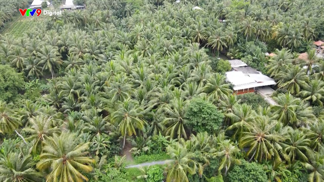 [TRÀ VINH - XA NHỚ, GẦN THƯƠNG] Tập 8: Miền đất thuận thiên | Ký sự | VTV9