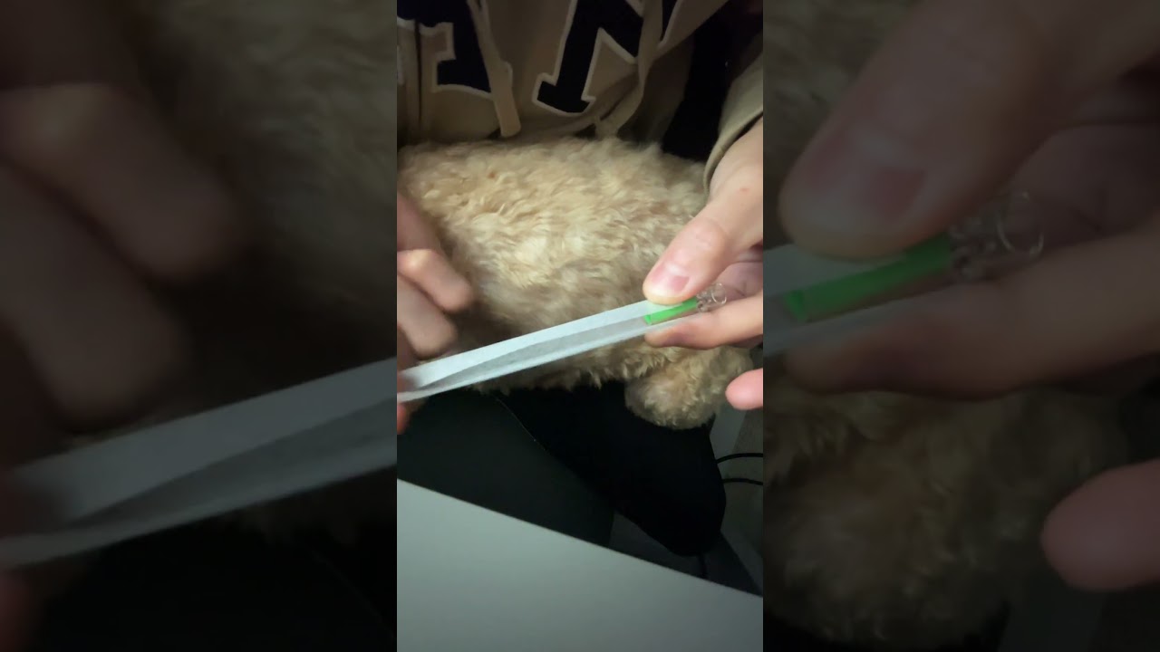 HOW TO ROLL A DOINK FOR BEGINNERS!