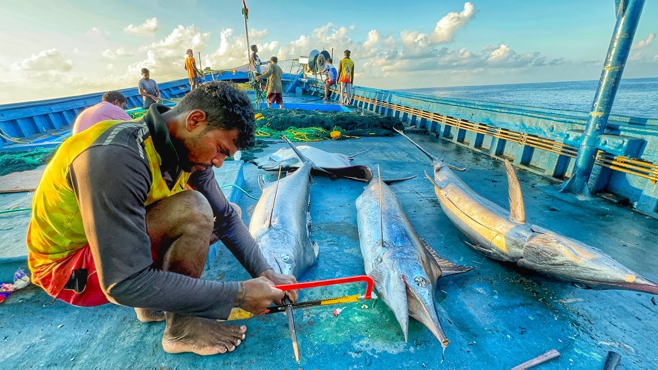 OMG! Biggest Marlin Caught In The Deep Sea On The Fourth Day | Day-04 | Deep Sea Fishing | EP-05