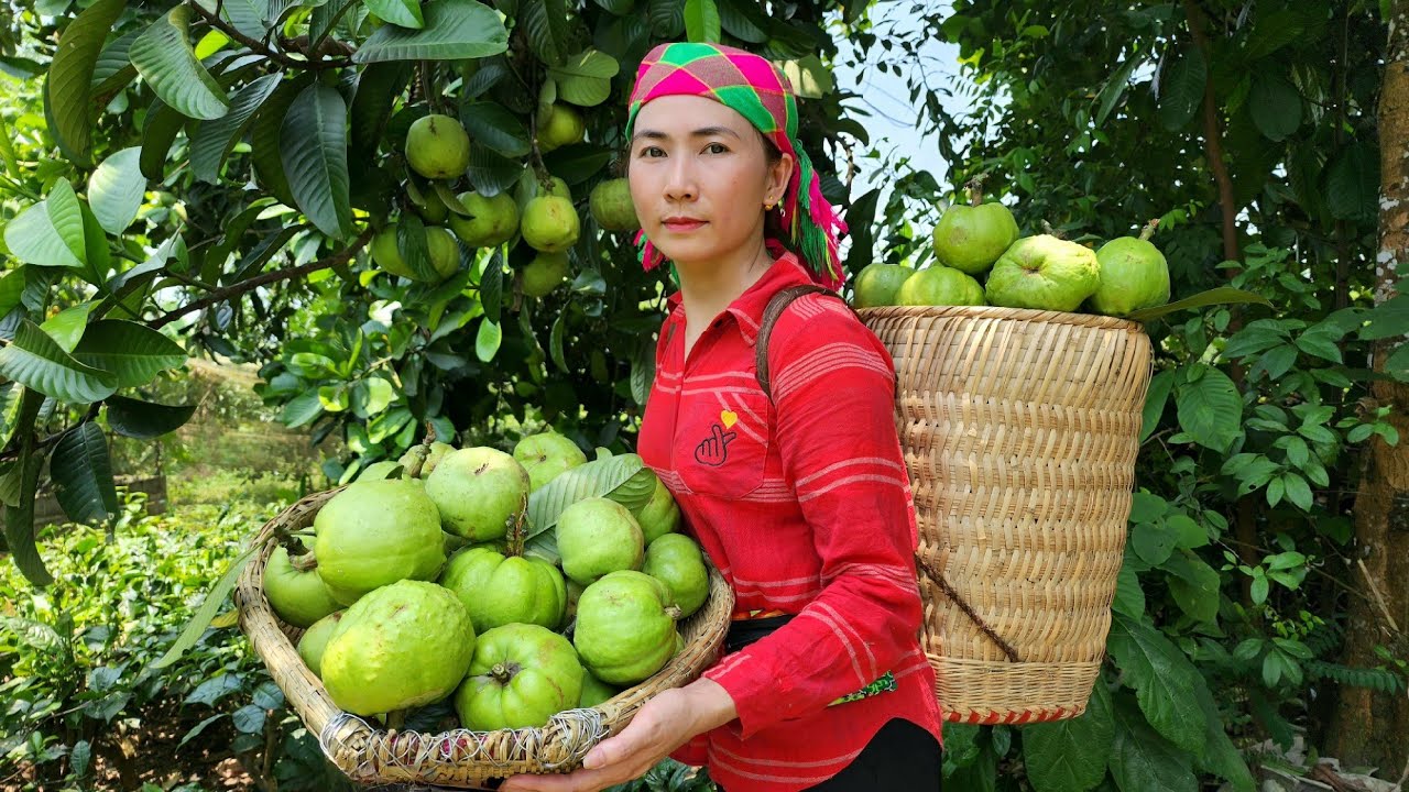 Harvesting Sour Hand Fruit Go market sell - Taking Care Of Pets -  Nguyễn Thị Bình