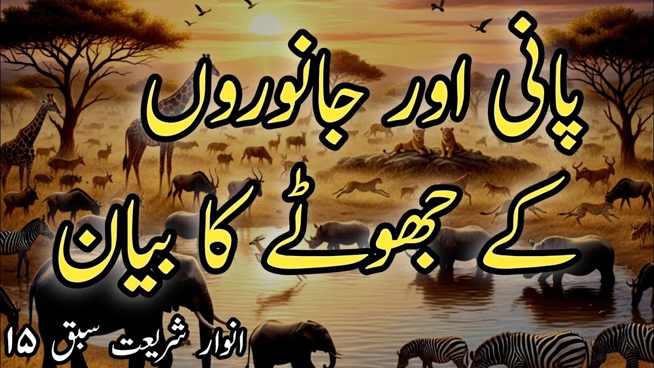 Paani Aor Janwaron Ke Jhoote Ka Bayan || पानी और जानवरों के झूठे का बयान 