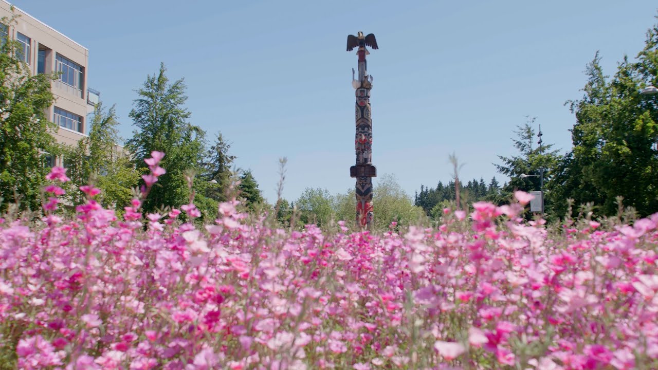 Bachelor of Indigenous Land Stewardship | Full Video