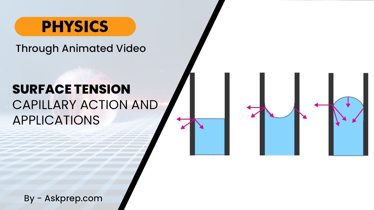 Surface Tension & Capillary Action Explained | Real-World Applications | AskPrep