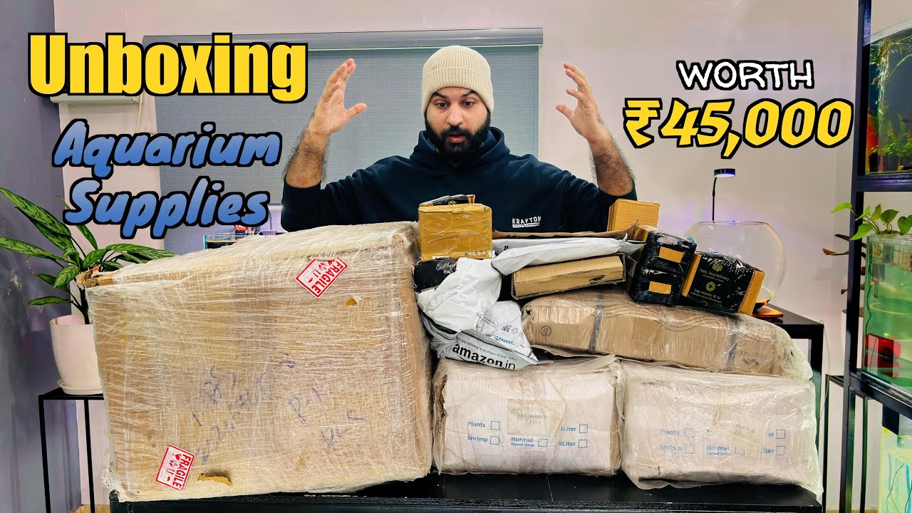 Unboxing Aquarium Supplies worth ₹45,000 | Stone | Sand | Driftwood#aquarium #aquascape #fishkeeping