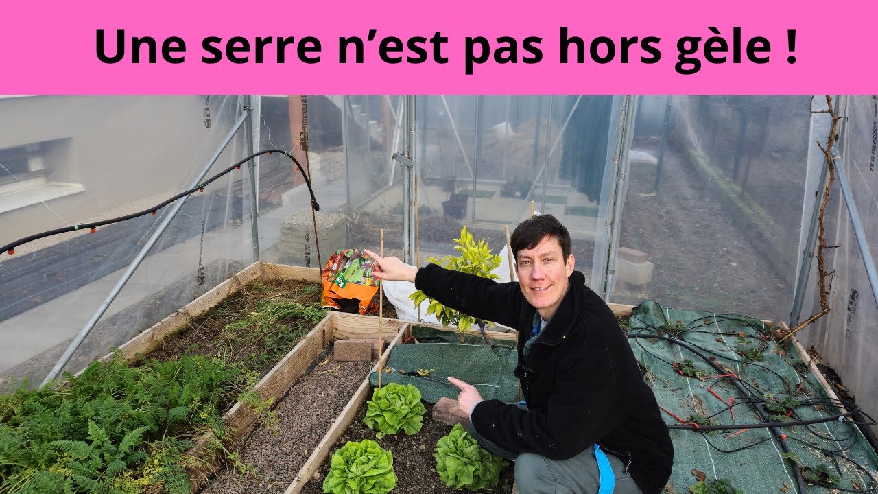 Une serre n'est pas hors gèle !