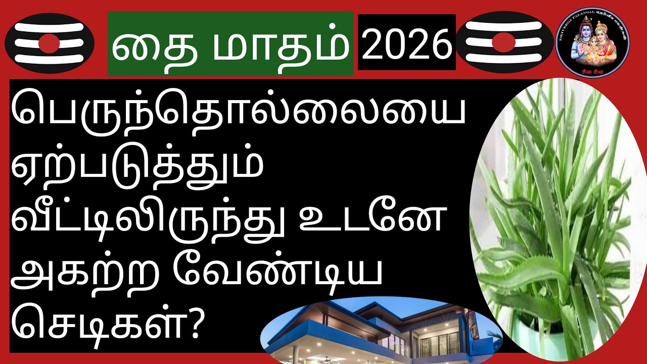 💥பெருந்தொல்லையை ஏற்படுத்தும் வீட்டிலிருந்து உடனே அகற்ற வேண்டிய செடிகள்?💥 @Deiveegapalangal-ky3io