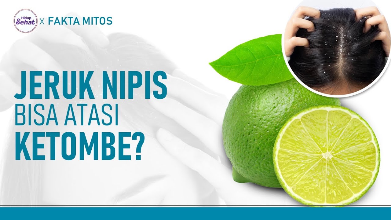 Benarkah Jeruk Nipis Bisa Menghilangkan Ketombe? Ini Mitos dan Faktanya | Hidup Sehat tvOne