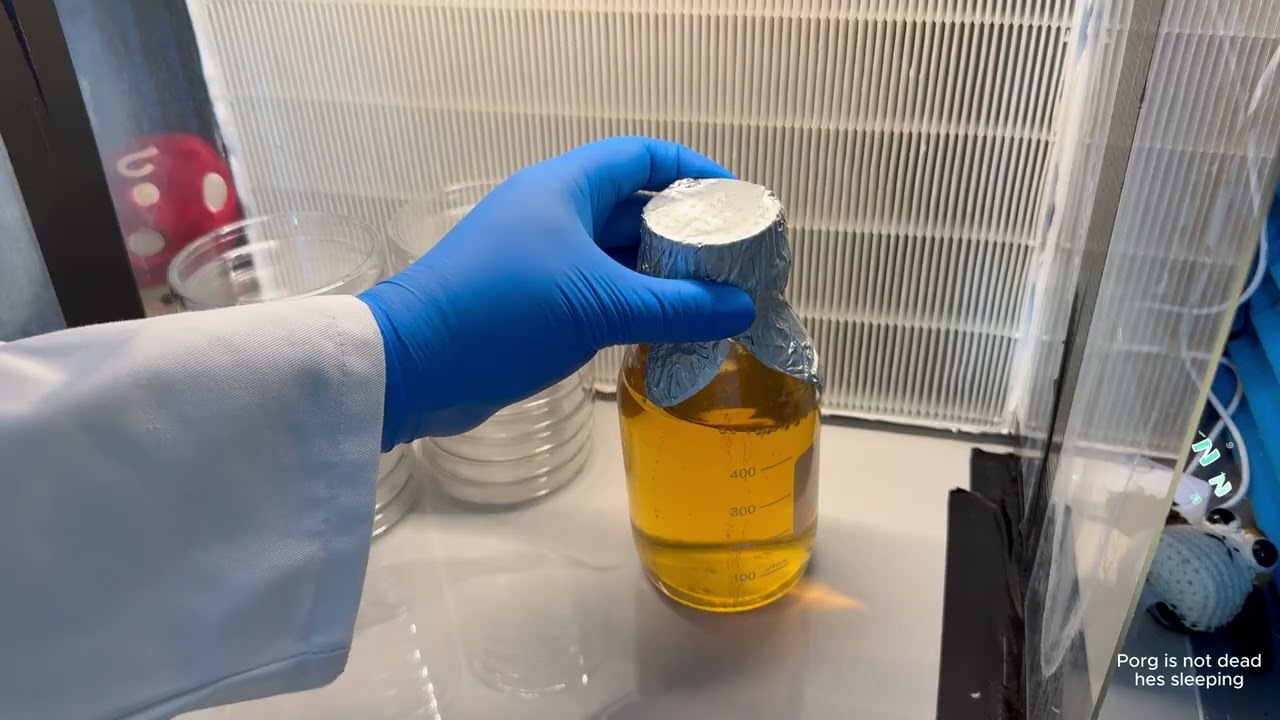 How I make perfect agar plates with no condensation