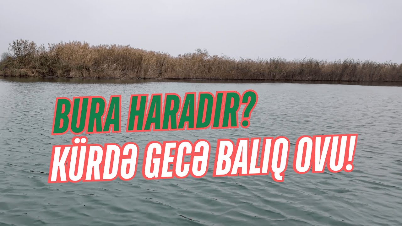 DOSTLARLA GÜNDƏLİK: BALIQTUTMA, MİNGƏÇEVİRDƏ GÖZƏL BİR GÜN, GECƏYƏDƏK BALIQ TUTDUQ